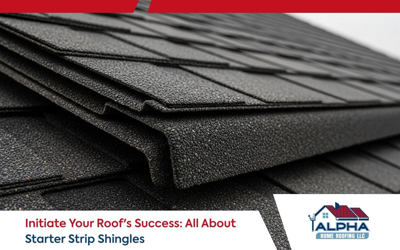 close view showing what are starter strip shingles on a residential roof