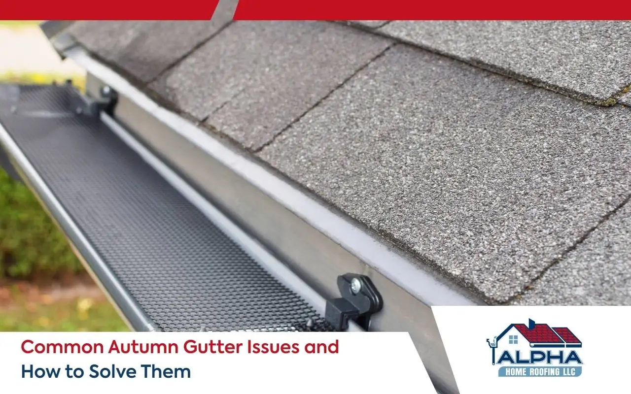 Prevention tips for autumn gutter issues